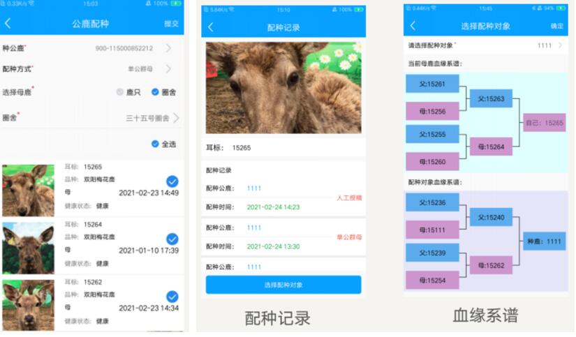 西丰县：智慧养鹿全产业链信息化