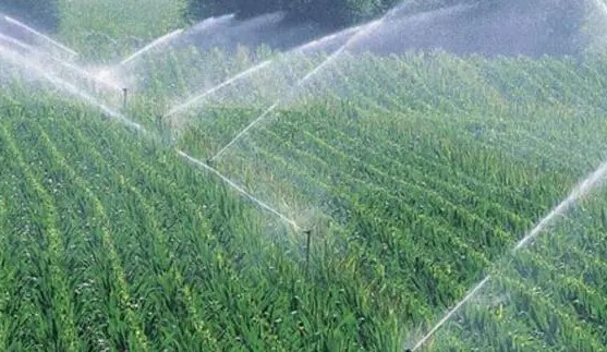物联网下的智慧农业灌溉监测