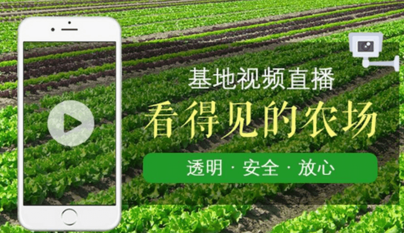 农业物联网监控系统：实现农业生产过程全监控与智能决策